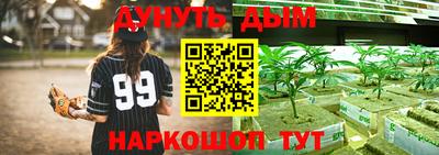 гидра Бийск