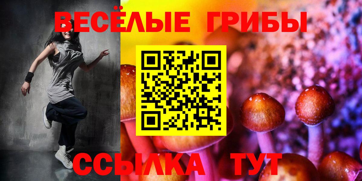 Балаково  Галлюциногенные грибы Psilocybine cubensis  Вход с VPN  Псилоцибиновые грибы ЛСД 